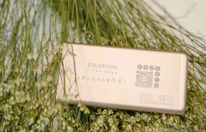 女神設計師用創意設計喚醒內心的秘密花園-別墅設計,軟裝設計,室內設計,豪宅設計,深圳例外軟裝設計公司
