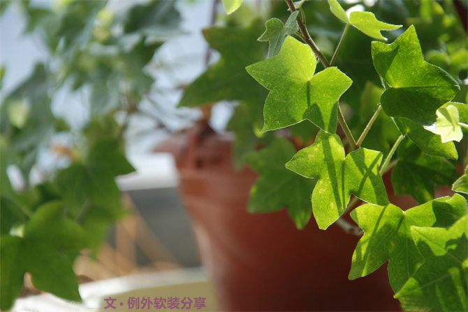 新房子裝修甲醛從哪里來(lái)？-別墅設(shè)計(jì),軟裝設(shè)計(jì),室內(nèi)設(shè)計(jì),豪宅設(shè)計(jì),深圳例外軟裝設(shè)計(jì)公司